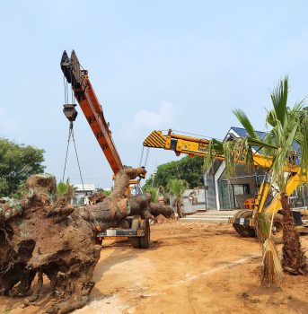 IMG_20241006_103419351_HDR