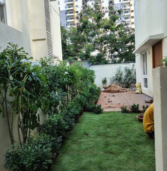 IMG_20241010_152619830_HDR