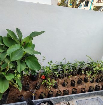 IMG_20241218_162205993_HDR_AE