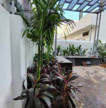 IMG_20241219_082855029_HDR_AE